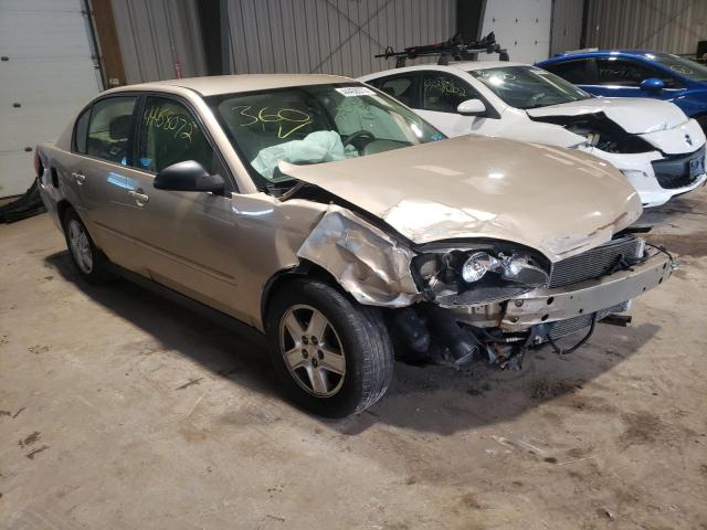 CHEVROLET MALIBU LS 2004 with VIN 1G1ZT52864F142847 - Photo from auction