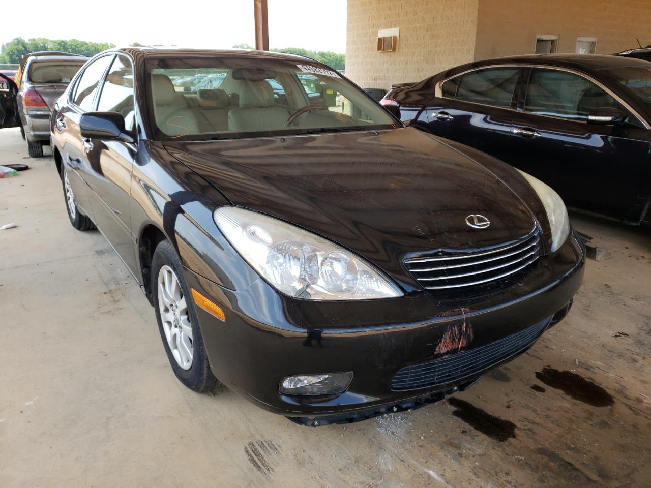 LEXUS ES 330 2004 with VIN JTHBA30G645016697 - Photo from auction
