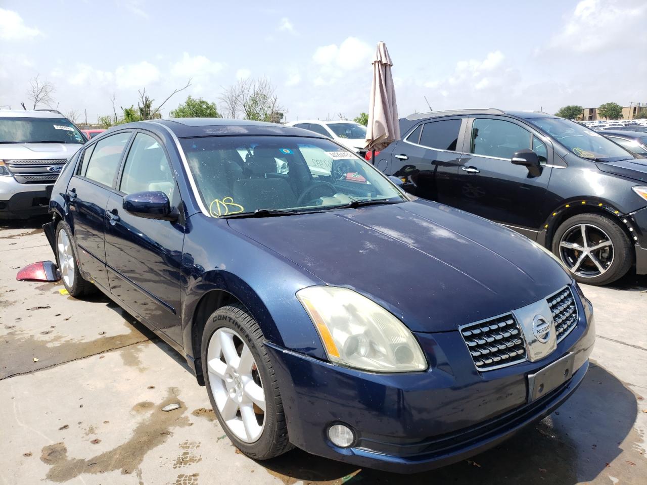 NISSAN MAXIMA SE 2006 with VIN 1N4BA41E16C848943 - Photo from auction