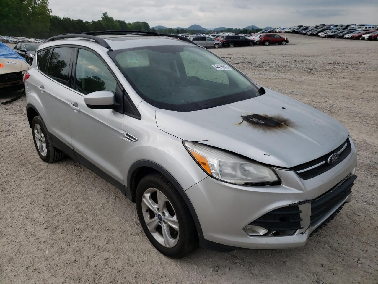 FORD ESCAPE 2013 with VIN 1FMCU0GX4DUA18290 - Photo from auction
