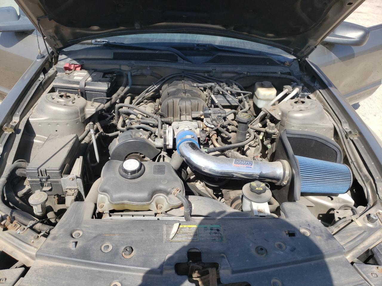 Photo 7 from auction – 2005 FORD MUSTANG with VIN 1ZVFT80N755130294