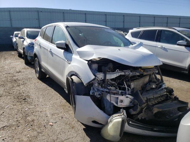 FORD ESCAPE 2013 with VIN 1FMCU0GX8DUC38466 - Photo from auction