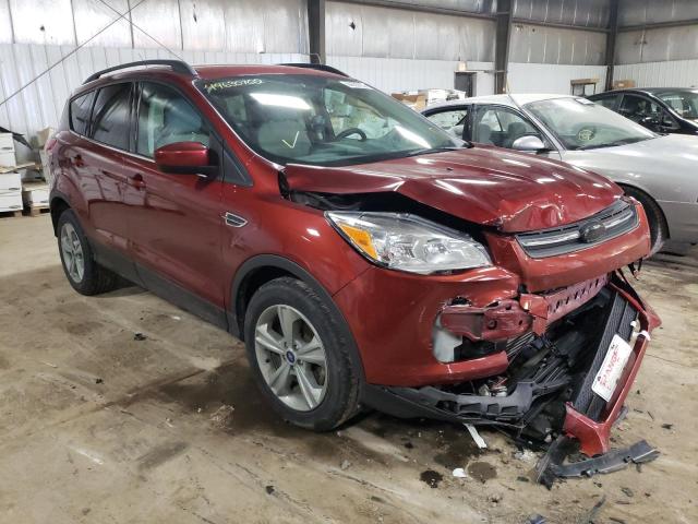 FORD ESCAPE SE 2014 with VIN 1FMCU0GX6EUA40261 - Photo from auction
