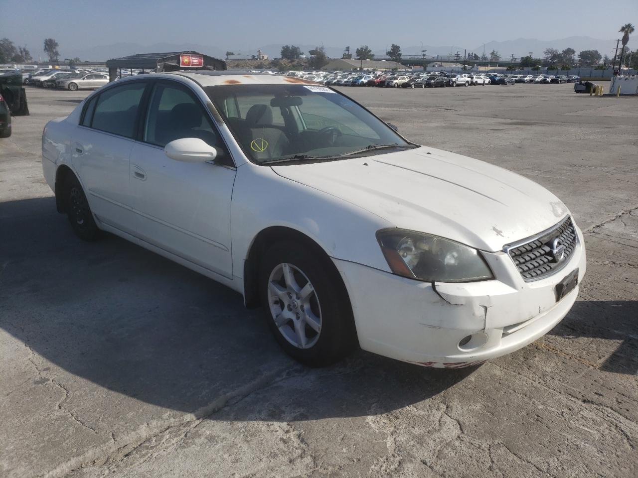 NISSAN ALTIMA S 2005 with VIN 1N4AL11D15C199803 - Photo from auction