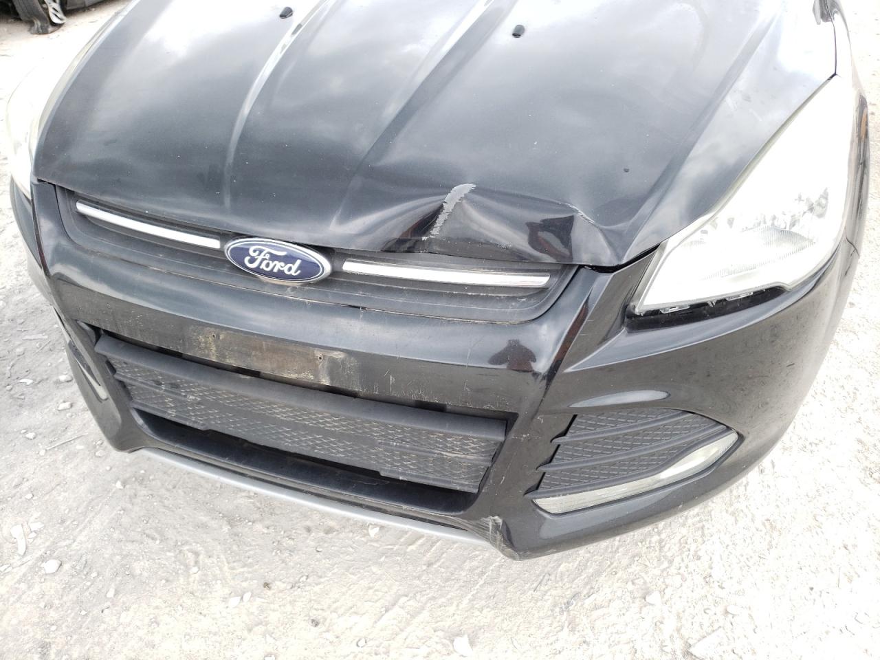 Photo 9 from auction – 2014 FORD ESCAPE SE with VIN 1FMCU0GX9EUB71359