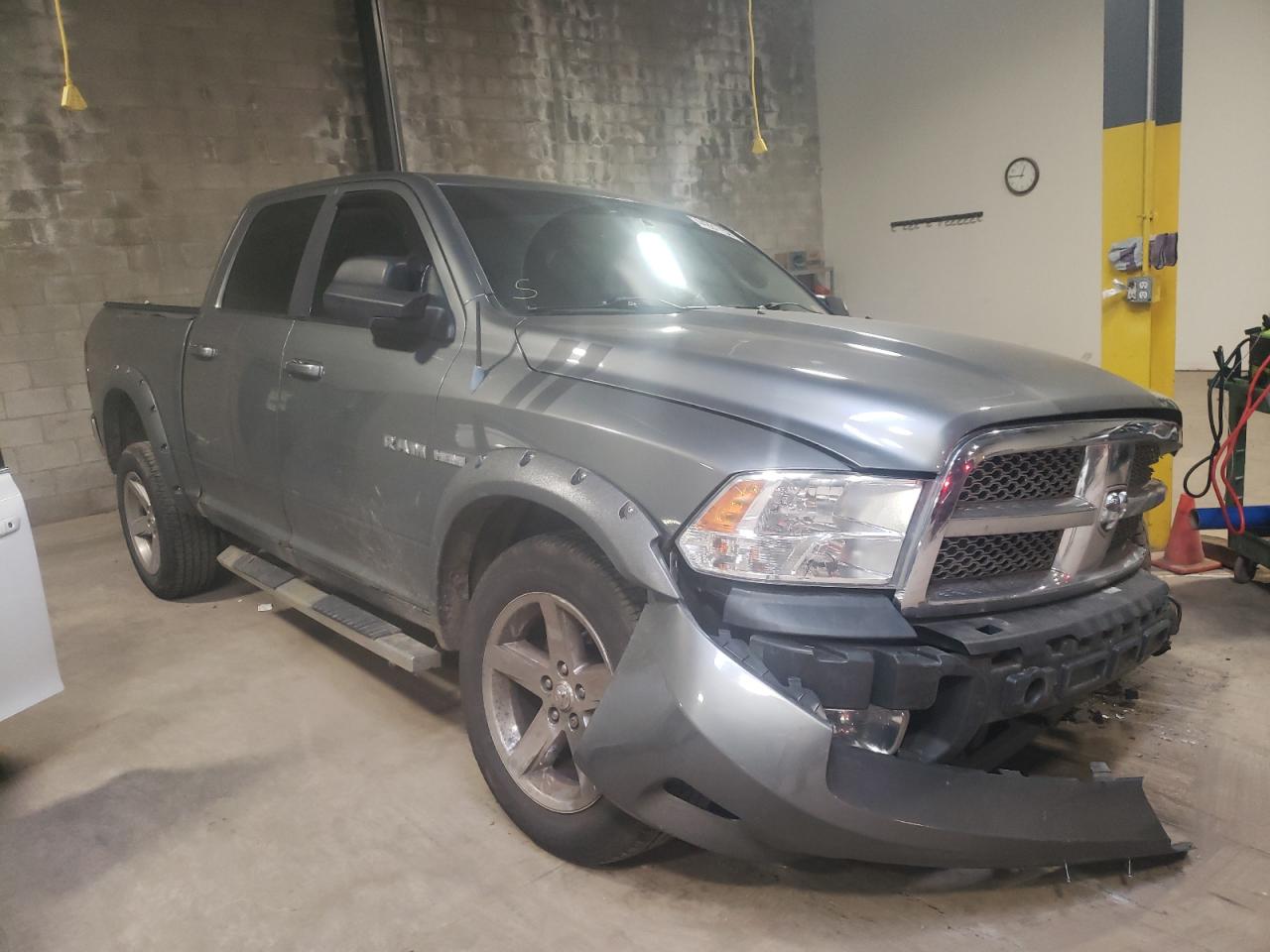DODGE RAM 1500 2009 with VIN 1D3HV13T39S809274 - Photo from auction