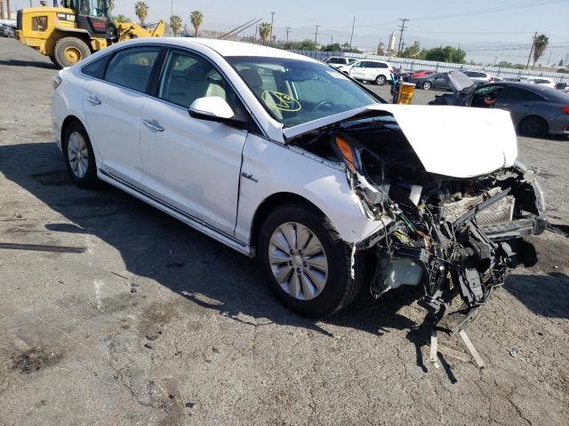 HYUNDAI SONATA HYB 2016 with VIN KMHE24L14GA012356 - Photo from auction