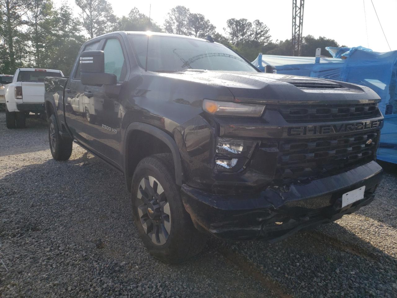 CHEVROLET SILVERADO 2021 with VIN 1GC4YME77MF187859 - Photo from auction