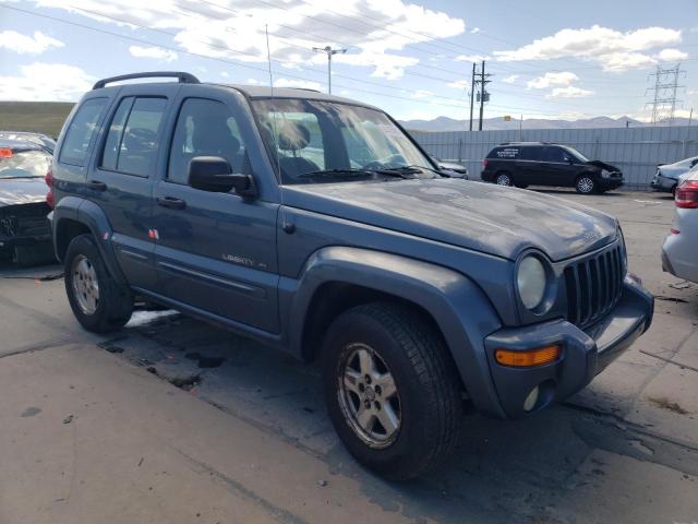JEEP LIBERTY LI 2002 with VIN 1J4GL58K12W356024 - Photo from auction