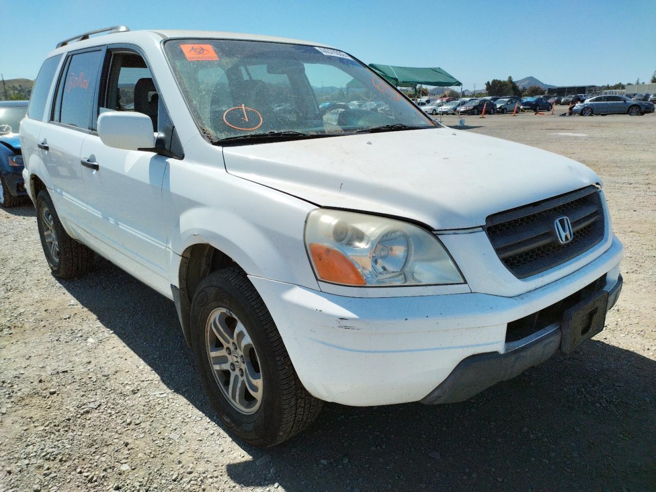 HONDA PILOT EXL 2003 with VIN 2HKYF18513H604493 - Photo from auction