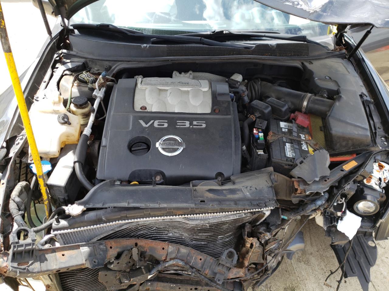 Фото 7 с аукциона – 2004 NISSAN MAXIMA SE с VIN 1N4BA41E94C899488