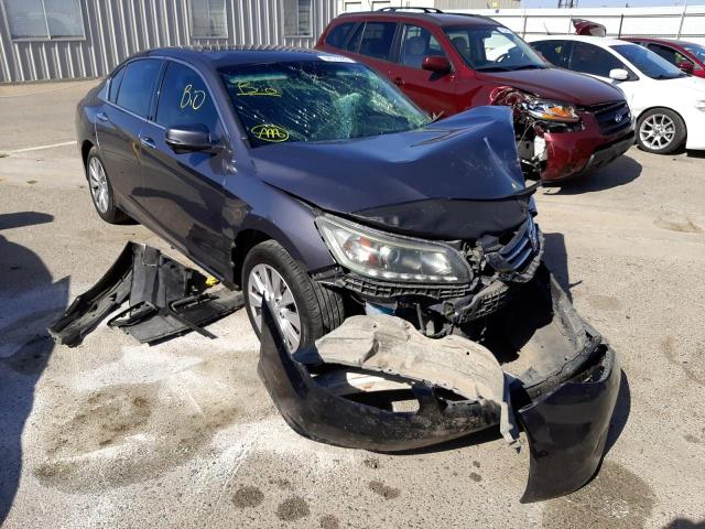 HONDA ACCORD EXL 2014 with VIN 1HGCR3F87EA026647 - Photo from auction