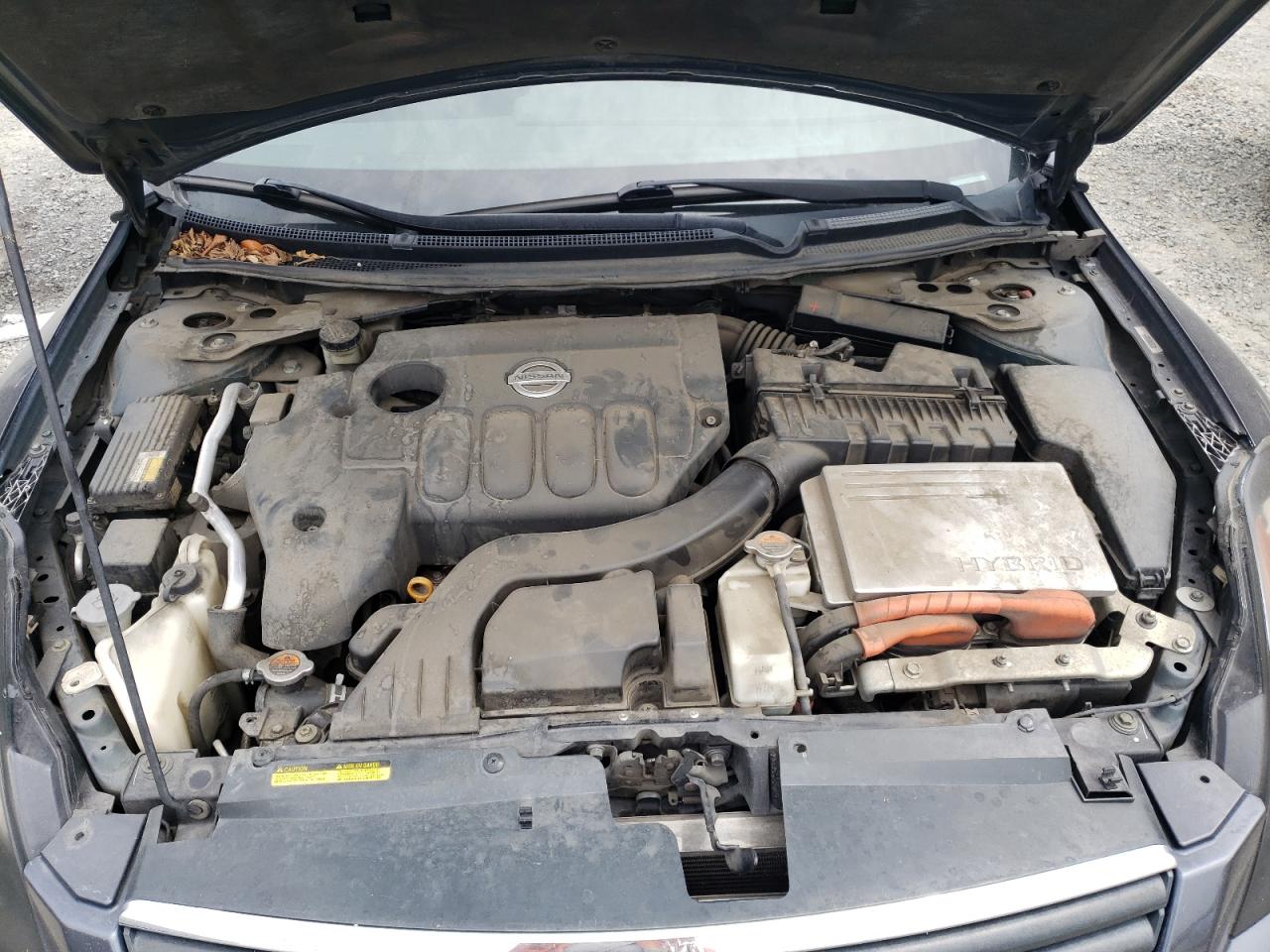 Photo 7 from auction – 2008 NISSAN ALTIMA HYB with VIN 1N4CL21E68C212203