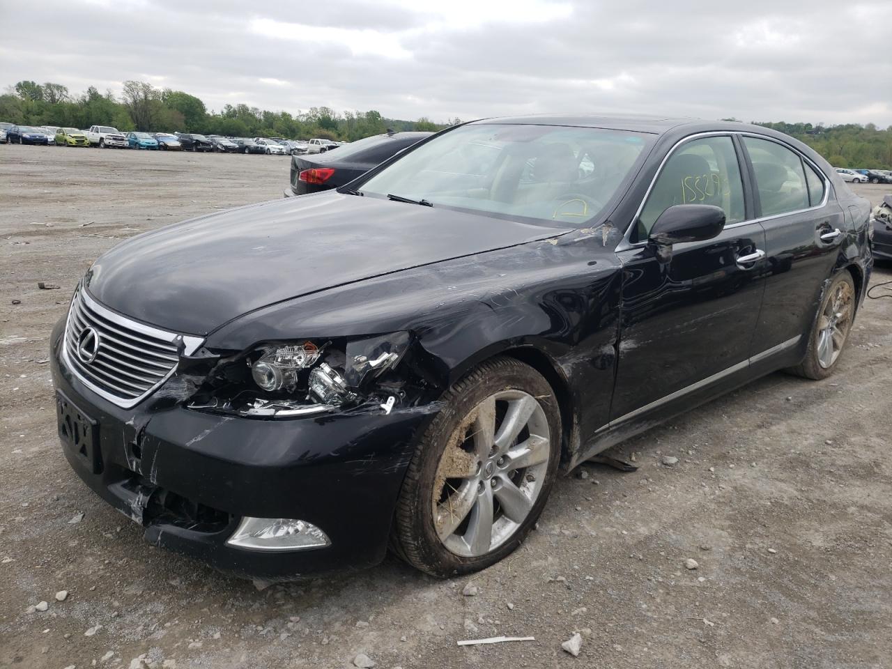 Photo 2 from auction – 2008 LEXUS LS 460 with VIN JTHBL46F185081736