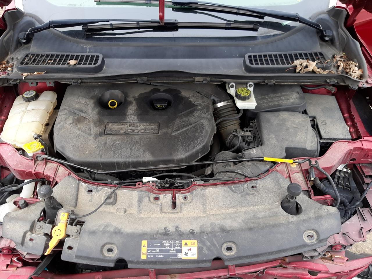 Photo 7 from auction – 2013 FORD ESCAPE SE with VIN 1FMCU0G91DUB32068