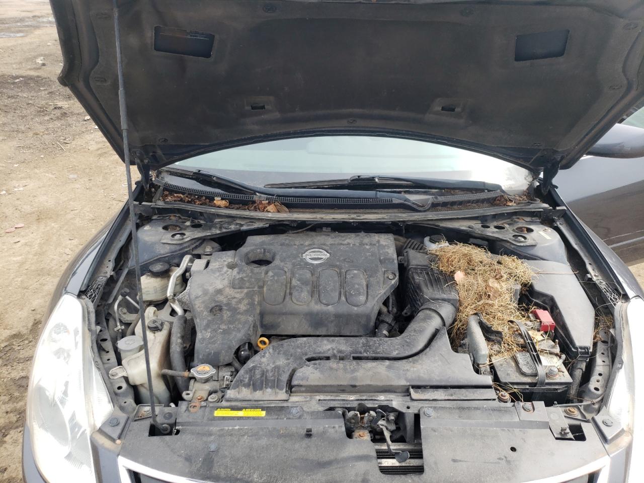 Photo 7 from auction – 2010 NISSAN ALTIMA BAS with VIN 1N4AL2AP7AN477490