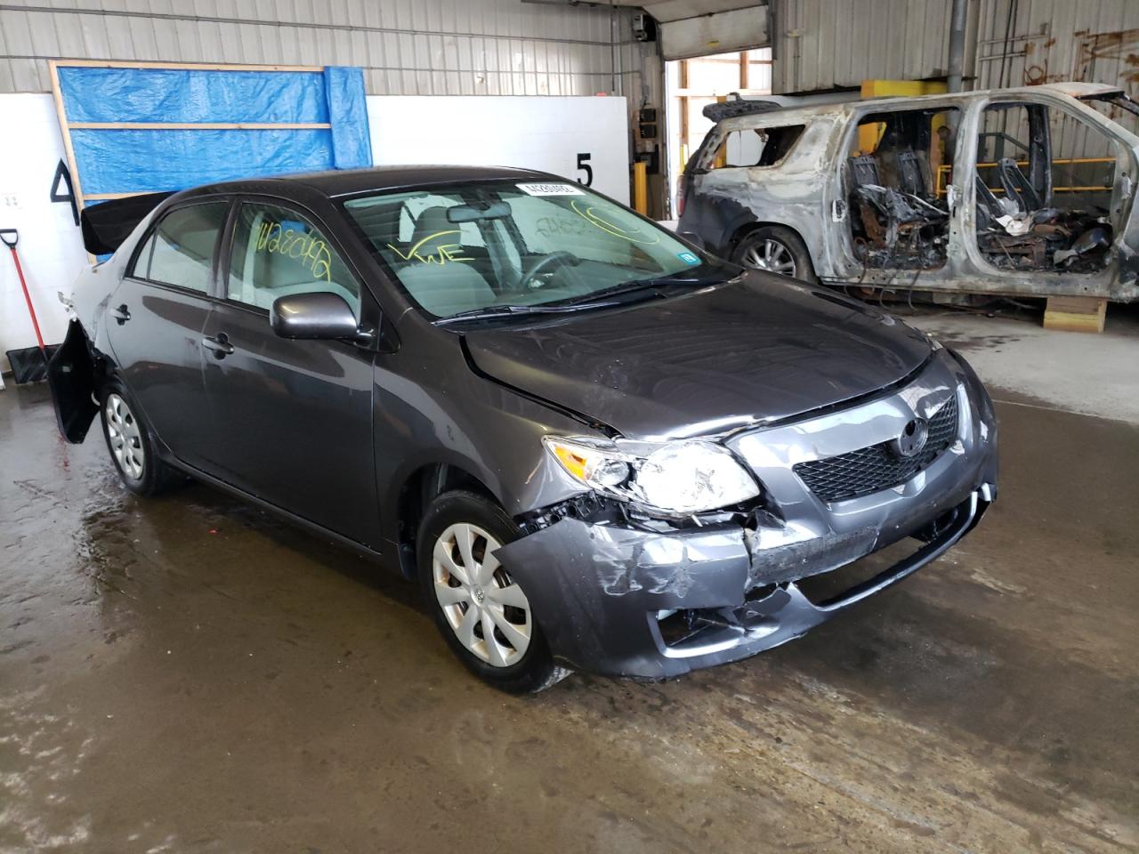 TOYOTA COROLLA 2009 with VIN JTDBL40E499051559 - Photo from auction