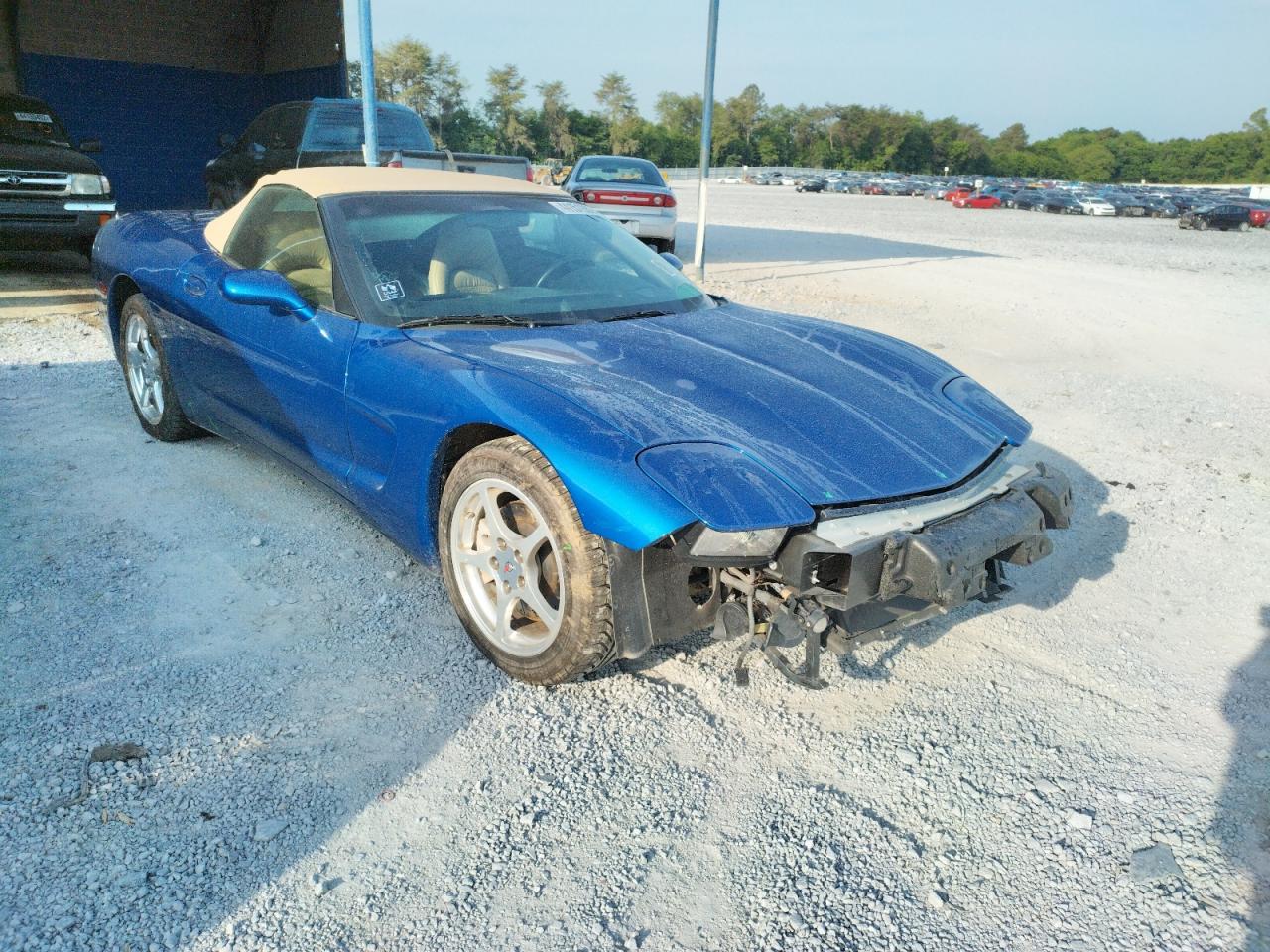 CHEVROLET CORVETTE 2003 with VIN 1G1YY32G135119554 - Photo from auction
