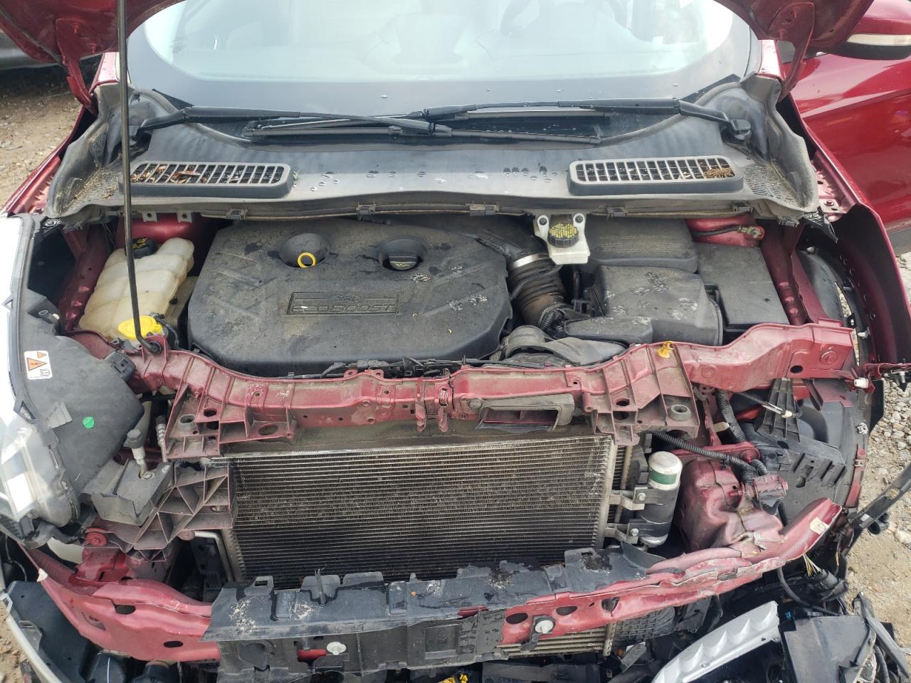 Photo 7 from auction – 2014 FORD ESCAPE TIT with VIN 1FMCU0J93EUB38934