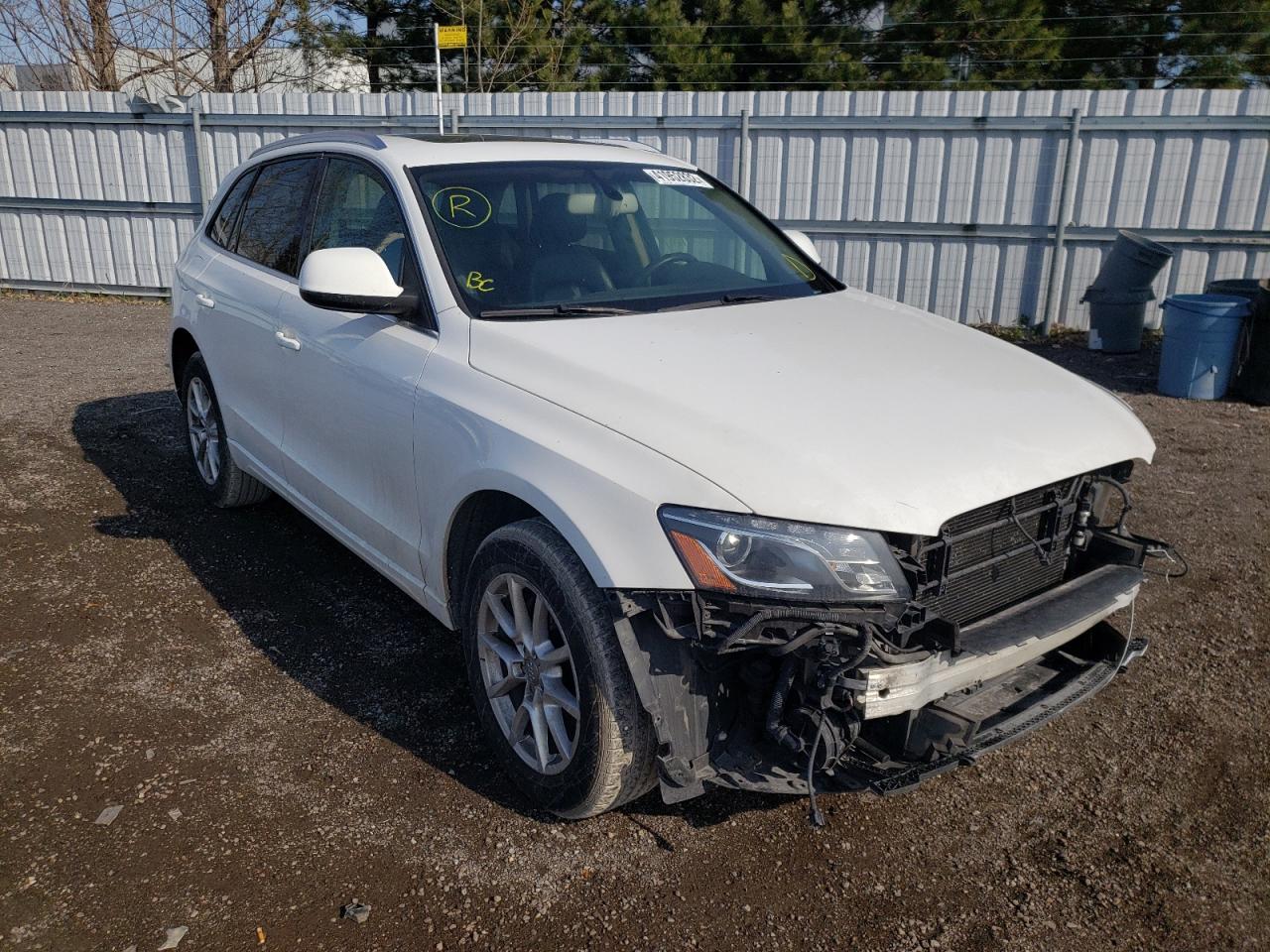 AUDI Q5 PREMIUM 2010 with VIN WA1LKCFP6AA092699 - Photo from auction