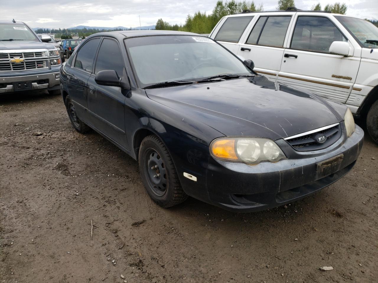 KIA SPECTRA GS 2003 with VIN KNAFB161335122141 - Photo from auction