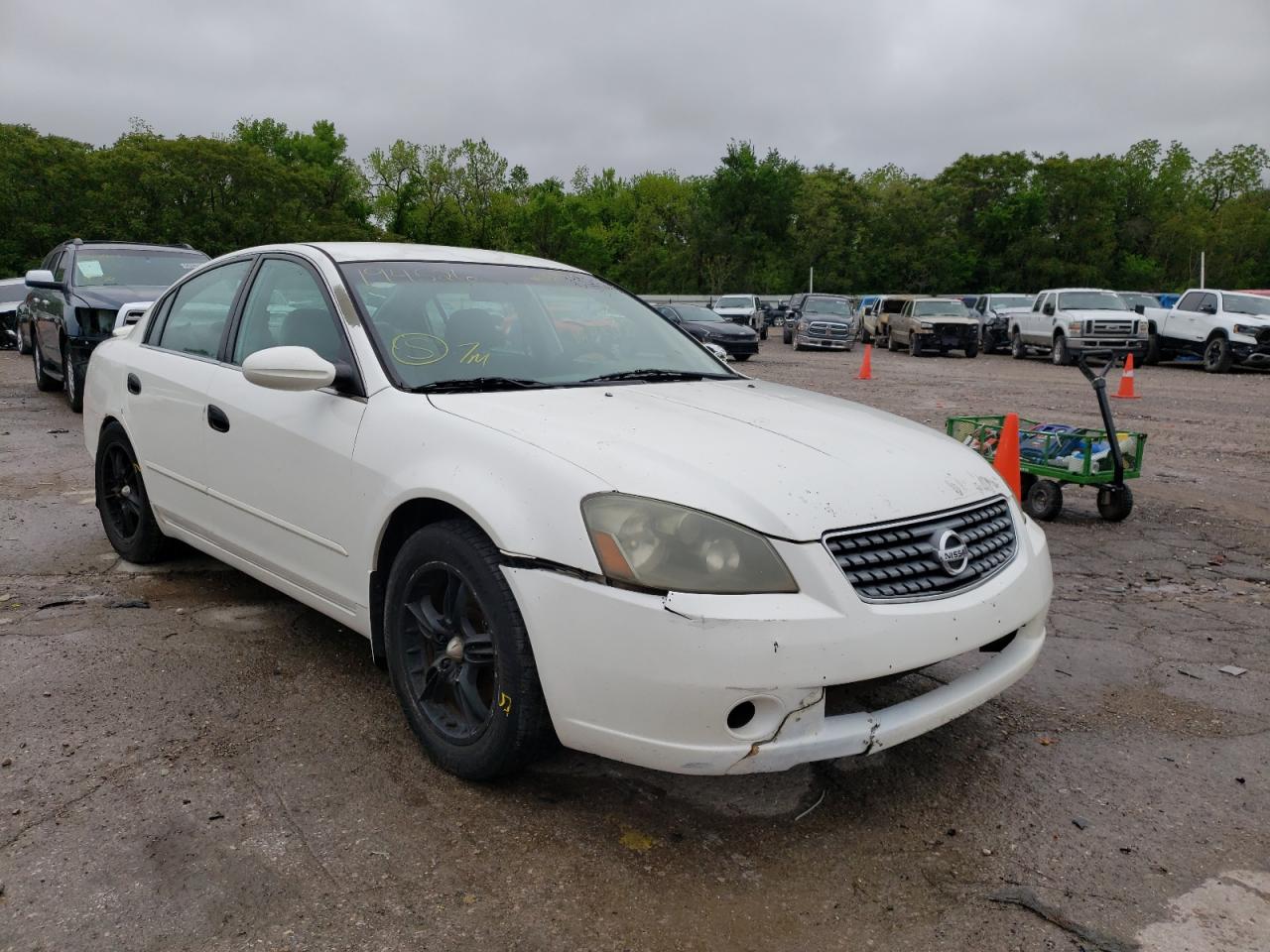 NISSAN ALTIMA S 2005 with VIN 1N4AL11D95C194526 - Photo from auction