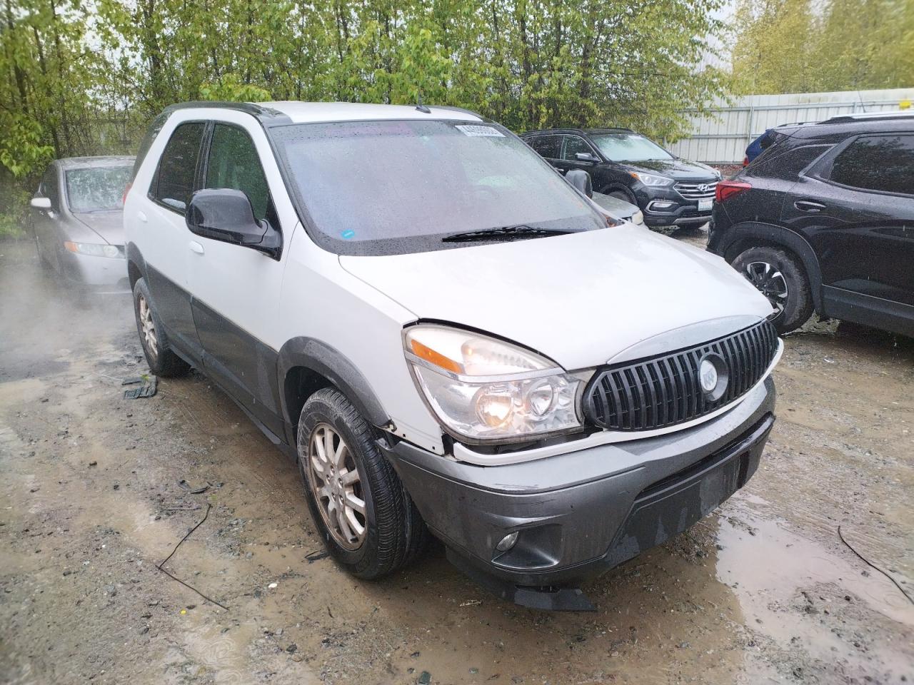 BUICK RENDEZVOUS 2005 with VIN 3G5DA03E15S538347 - Photo from auction