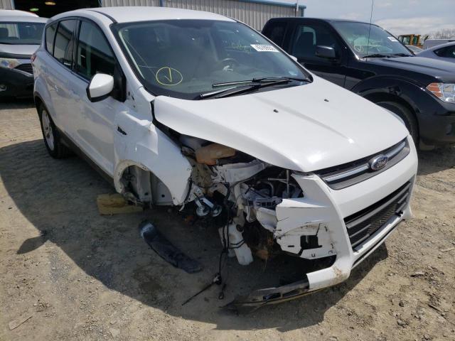 FORD ESCAPE SE 2016 with VIN 1FMCU0G78GUC28959 - Photo from auction