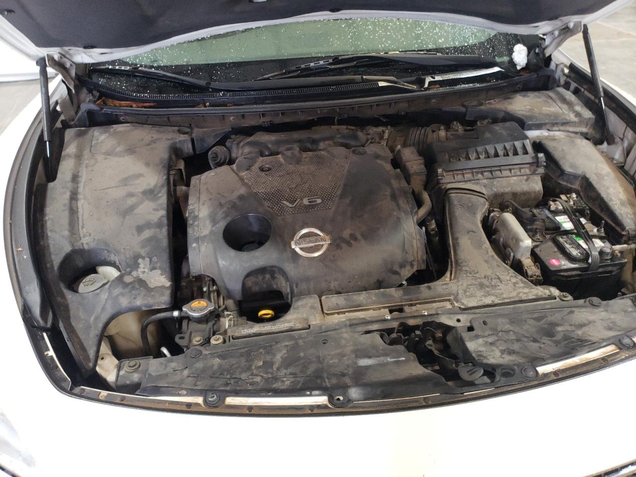Photo 7 from auction – 2009 NISSAN MAXIMA S with VIN 1N4AA51E09C803949