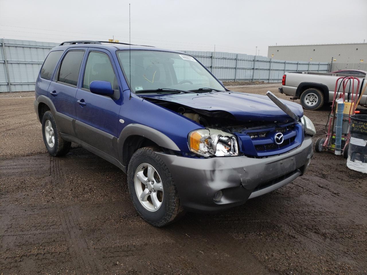 MAZDA TRIBUTE S 2006 with VIN 4F2YZ04136KM09215 - Photo from auction
