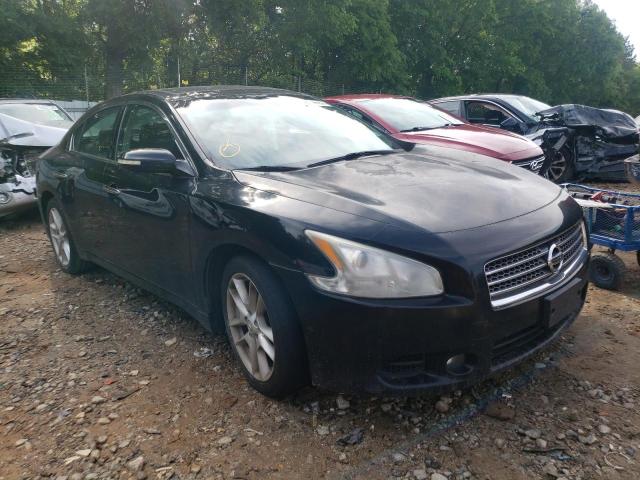 NISSAN MAXIMA 2009 with VIN 1N4AA51E39C846276 - Photo from auction