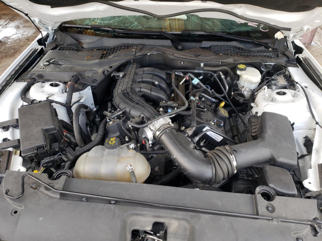 Photo 7 from auction – 2015 FORD MUSTANG with VIN 1FA6P8AM3F5406829