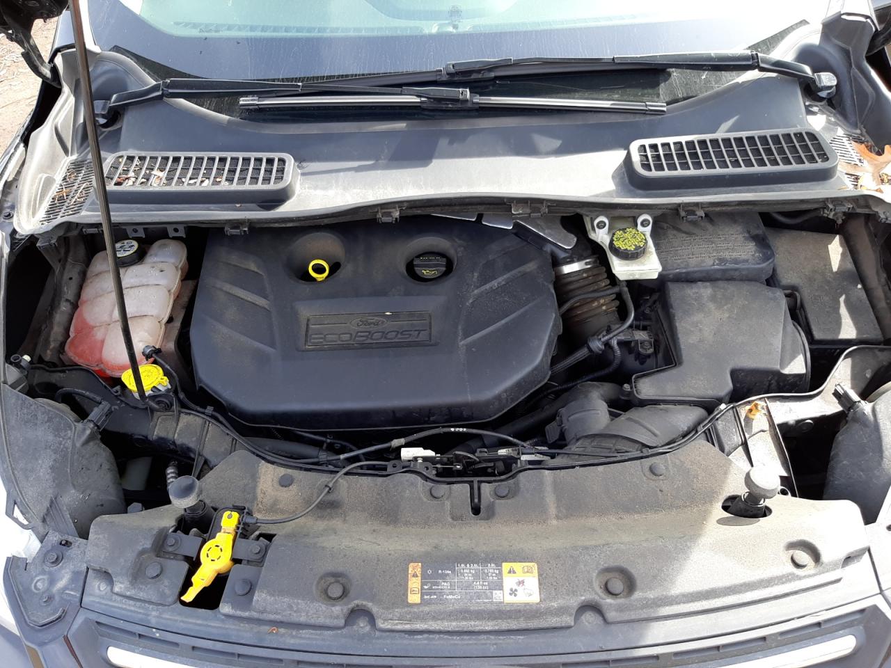 Photo 7 from auction – 2013 FORD ESCAPE SE with VIN 1FMCU0G90DUA85339
