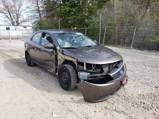 KIA FORTE EX 2013 with VIN KNAFU4A2XD5719574 - Photo from auction