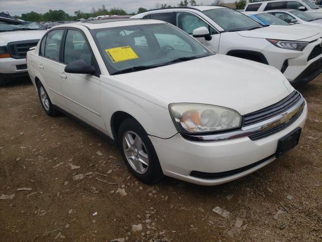 CHEVROLET MALIBU LS 2005 with VIN 1G1ZT54875F126512 - Photo from auction