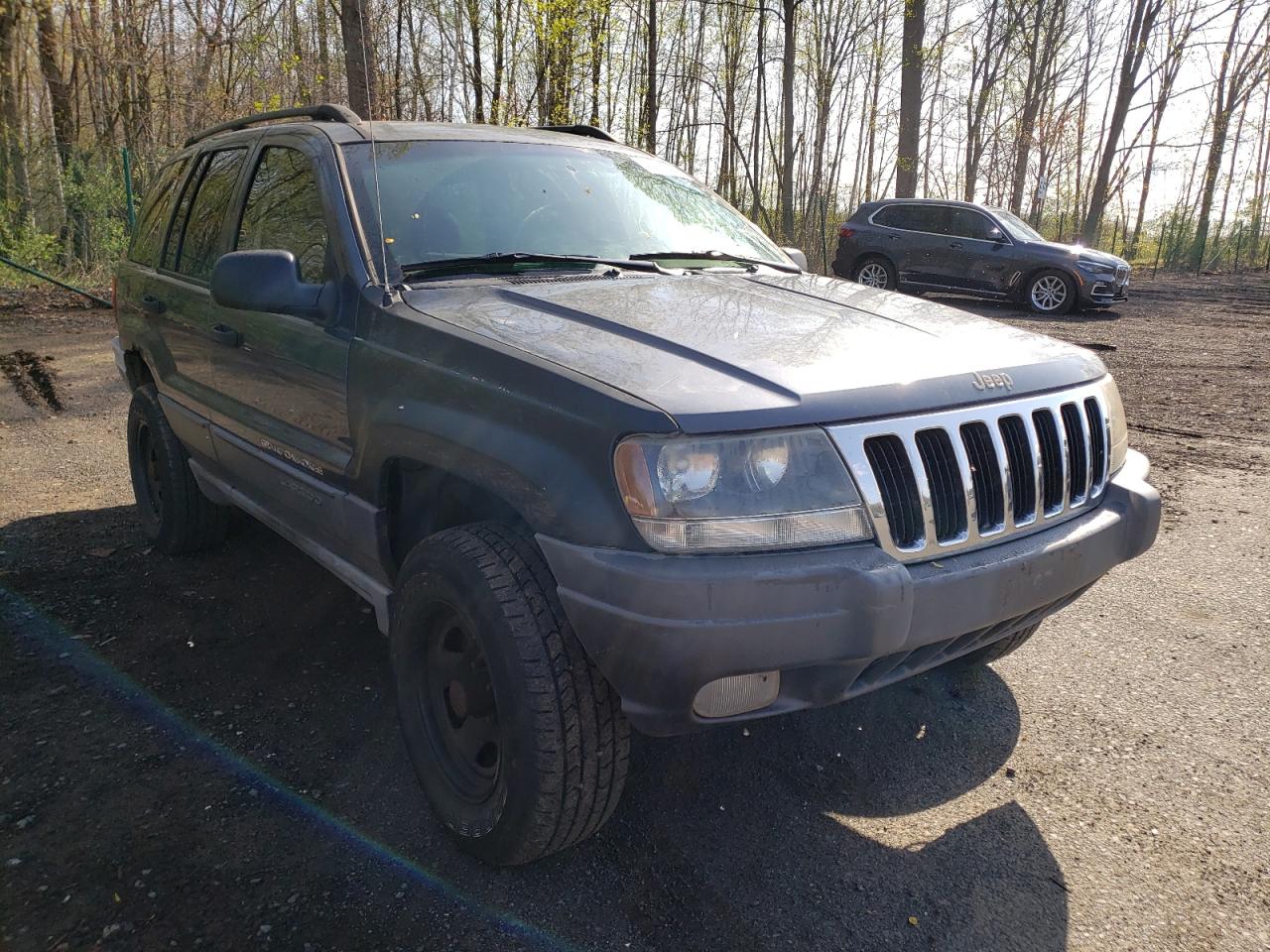 JEEP GRAND CHER 2002 with VIN 1J4GW48S22C229933 - Photo from auction