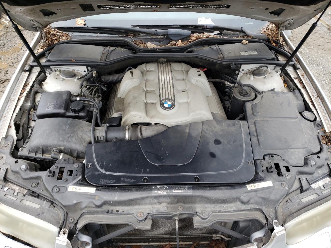 Photo 7 from auction – 2004 BMW 745 LI with VIN WBAGN63414DS48254
