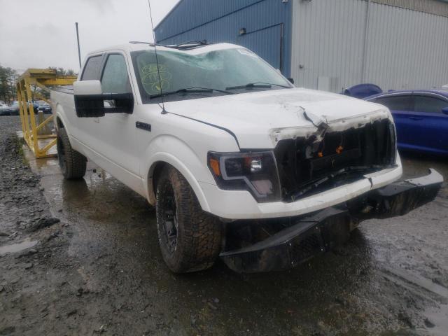 FORD F150 SUPER 2010 with VIN 1FTFW1EV7AFC20673 - Photo from auction