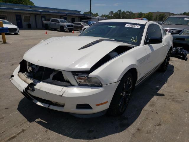 Photo 2 from auction – 2011 FORD MUSTANG with VIN 1ZVBP8AM2B5164423
