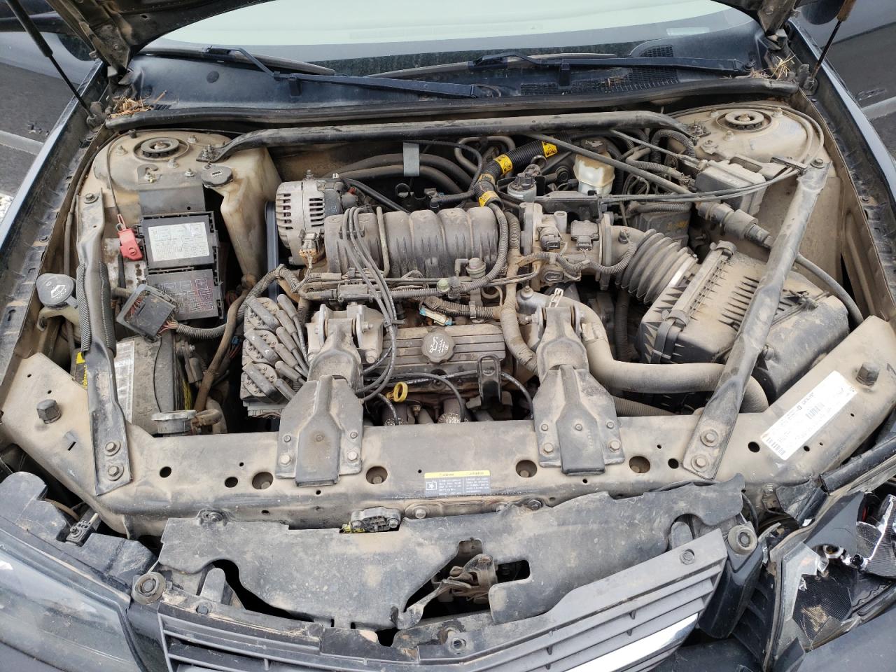 Photo 7 from auction – 2003 CHEVROLET IMPALA LS with VIN 2G1WH52K339194556