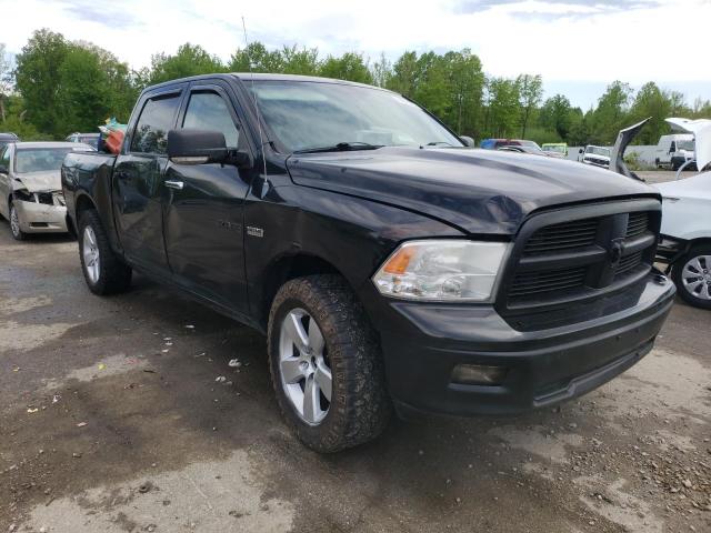 DODGE RAM 1500 2009 with VIN 1D3HV13T29S719002 - Photo from auction