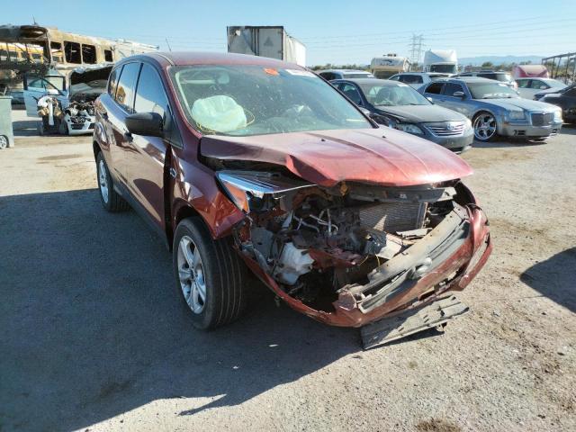 FORD ESCAPE S 2016 with VIN 1FMCU0F71GUC44146 - Photo from auction