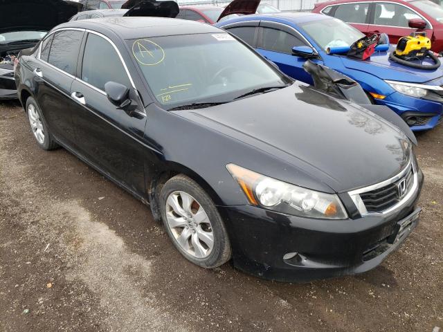 HONDA ACCORD EXL 2010 with VIN 5KBCP3F8XAB501151 - Photo from auction