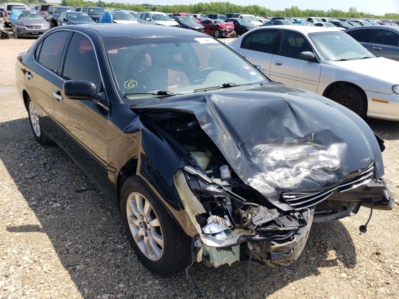 LEXUS ES 330 2004 with VIN JTHBA30G740018181 - Photo from auction