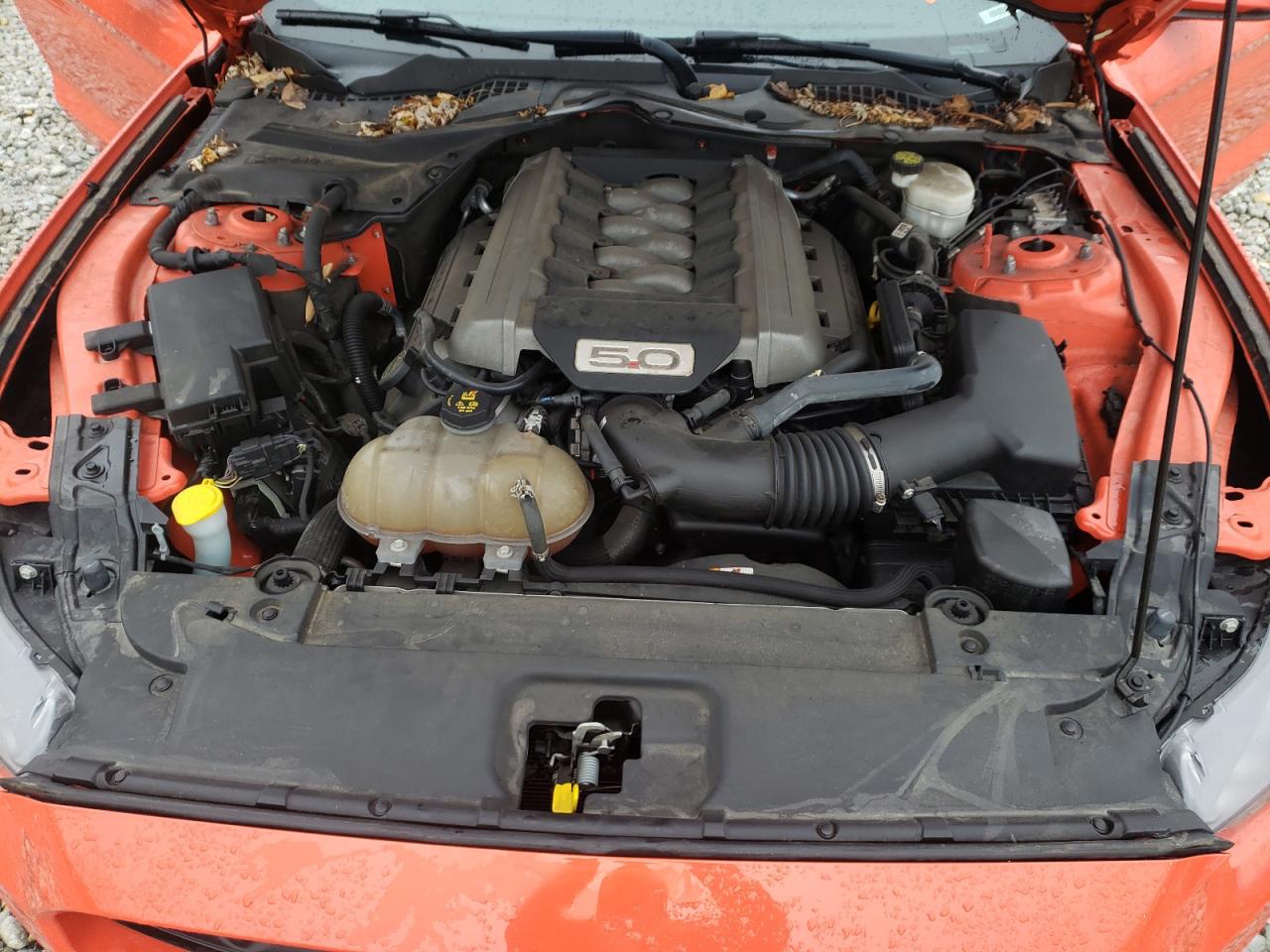 Photo 7 from auction – 2016 FORD MUSTANG GT with VIN 1FA6P8CF8G5266339