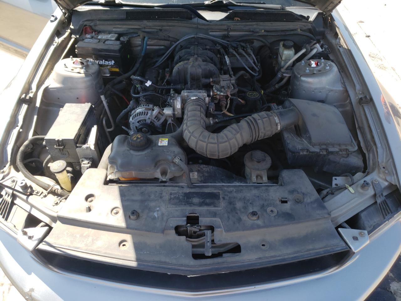 Photo 7 from auction – 2009 FORD MUSTANG with VIN 1ZVHT80N695145352