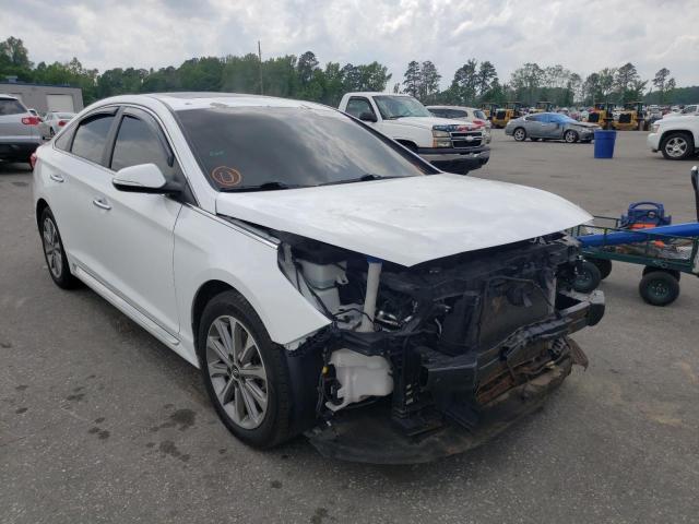 HYUNDAI SONATA SPO 2016 with VIN 5NPE34AF6GH316460 - Photo from auction