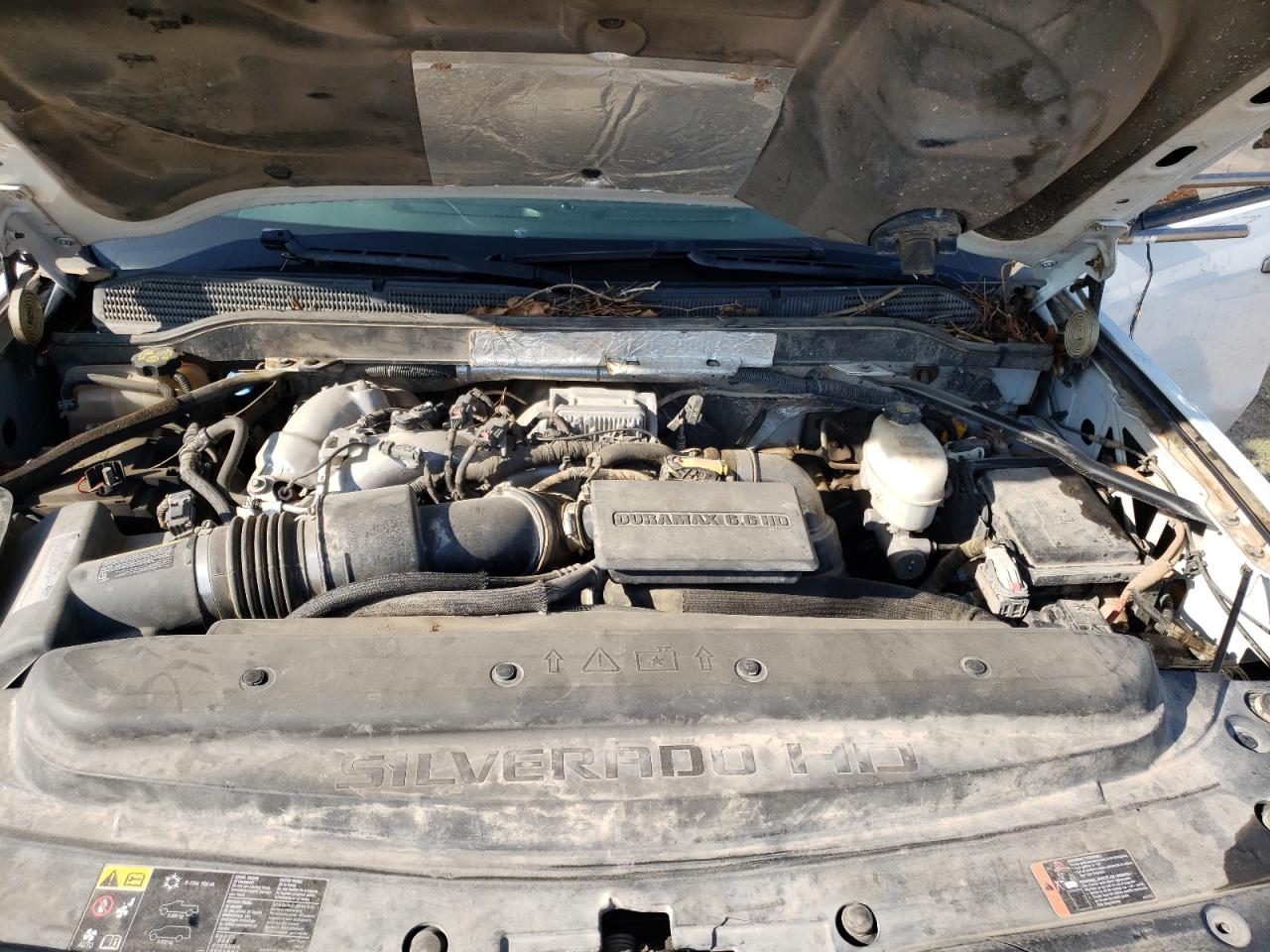 Photo 7 from auction – 2017 CHEVROLET SILVERADO with VIN 1GB4KYCY4HF111742