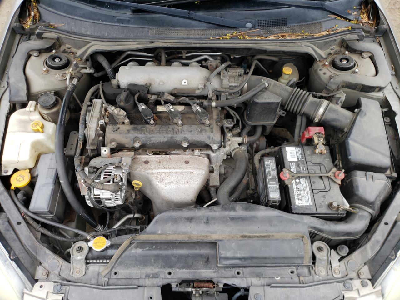 Photo 7 from auction – 2002 NISSAN ALTIMA BAS with VIN 1N4AL11D32C180973