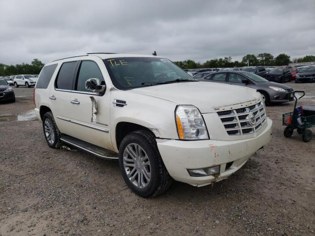 CADILLAC ESCALADE L 2010 with VIN 1GYUKBEF1AR241464 - Photo from auction